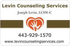 Levin Counseling Services